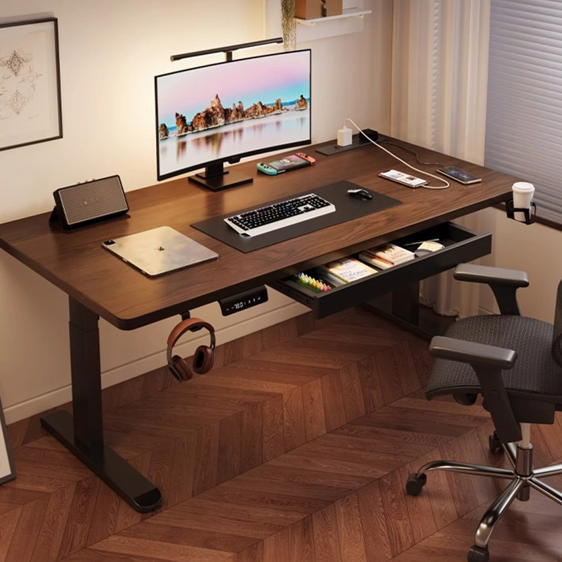 Modern Iron Dual Motor Electri - đánh giá và giá Desk Setup In Office